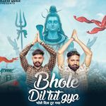Bhole Dil Tut Gya (feat. Ashish Gulawadiya)