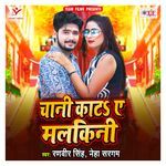 Chani Kata Ae Malkini