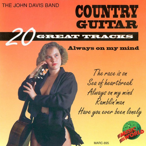 Country Guitar - Always on My Mind