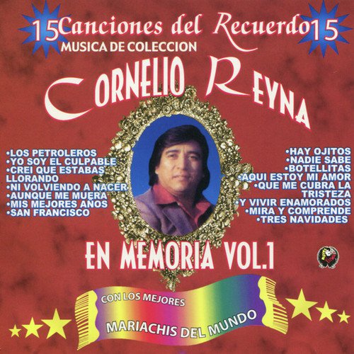 Nadie Sabe cover art