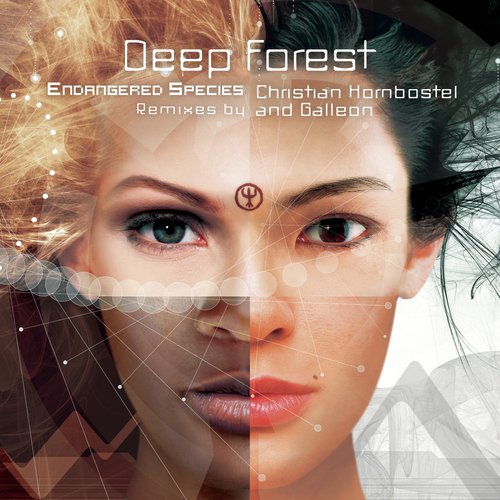 Endangered Species (Galleon Remix [Extended Version]) cover art