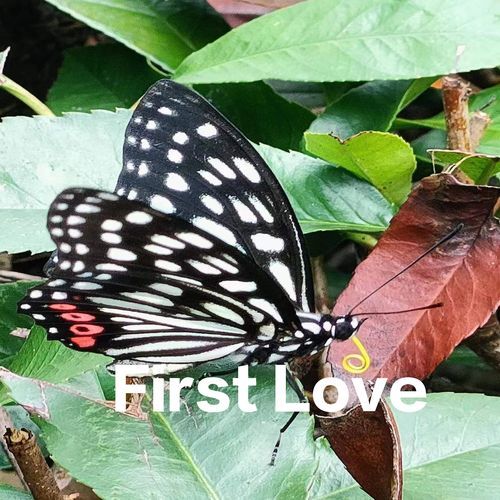 Chill Out Piano cover art