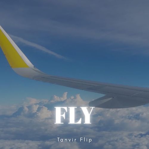Fly