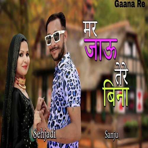 Mar Jau Tere Bina