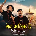 Mera Maalik Hai Shivaay (Slowed &amp; Reverb)