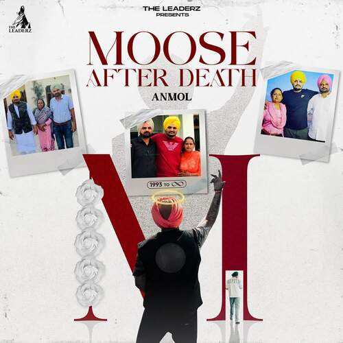 Moose After Death
