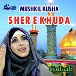Mushkil Kusha Sher e Khuda
