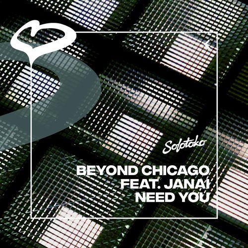 Need You (feat. Janai)_poster_image