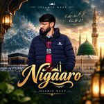Nigaaro