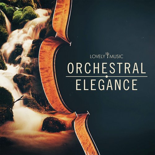 Orchestral Elegance