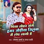 Piya Tohar Sange Hamar Jodiya Jilawa Me Top Lage Ho