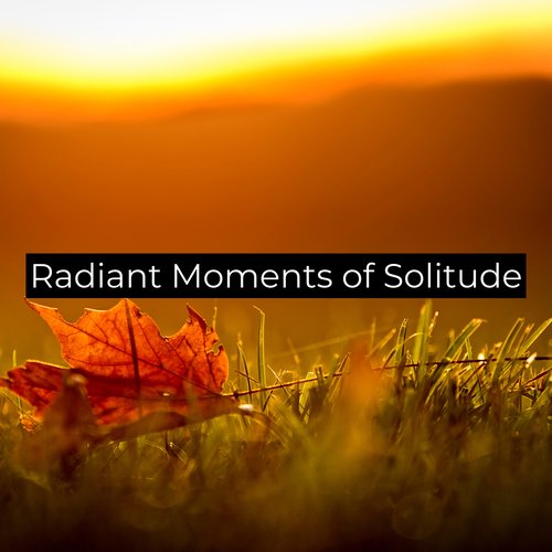 Radiant Moments of Solitude_poster_image