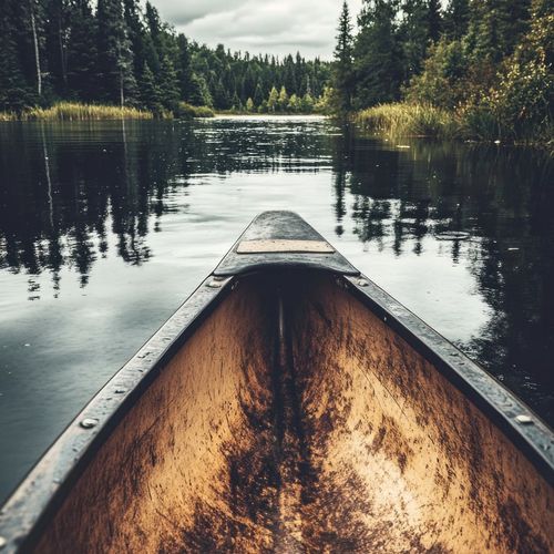 Relaxation Harmony: Orchestral Music for Peaceful Evenings