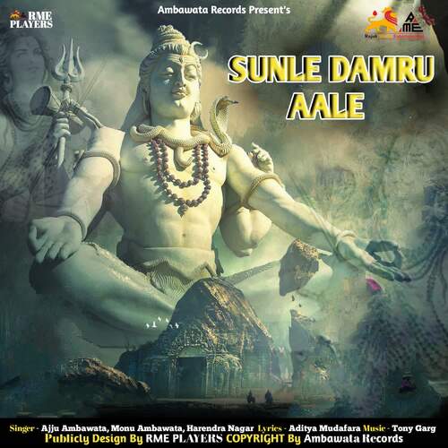 SUNLE DAMRU AALE