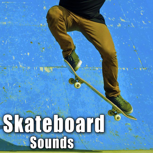 Skateboard Shove It Manoeuver