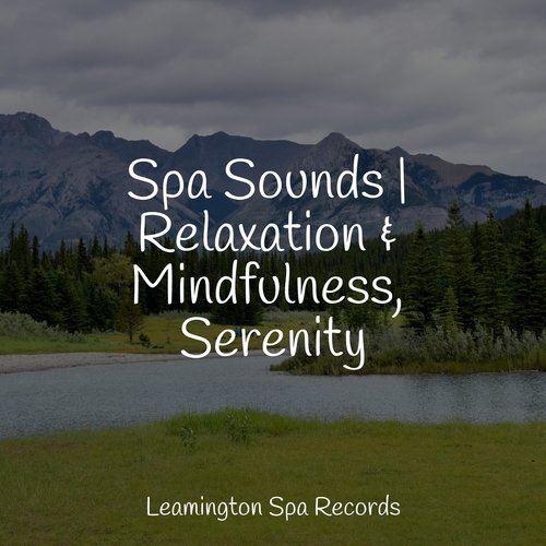 Spa Sounds | Relaxation & Mindfulness, Serenity