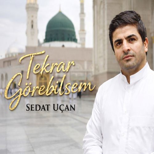 Tekrar Görebilsem cover art