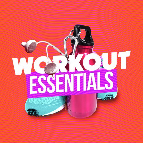 Workout Essentials_poster_image