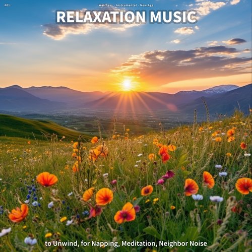 #01 Relaxation Music to Unwind, for Napping, Meditation, Neighbor Noise_poster_image