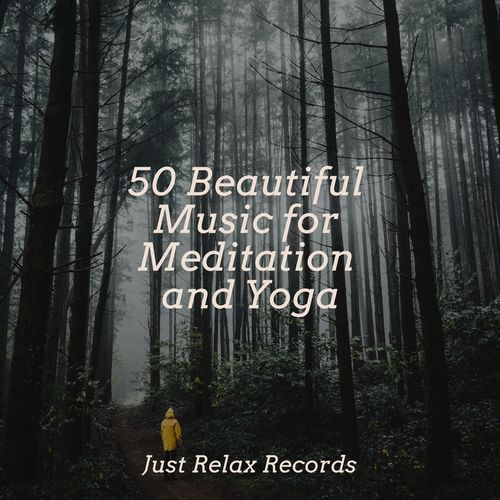 50 Beautiful Music for Meditation and Yoga