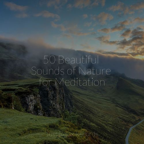 50 Beautiful Sounds of Nature for Meditation