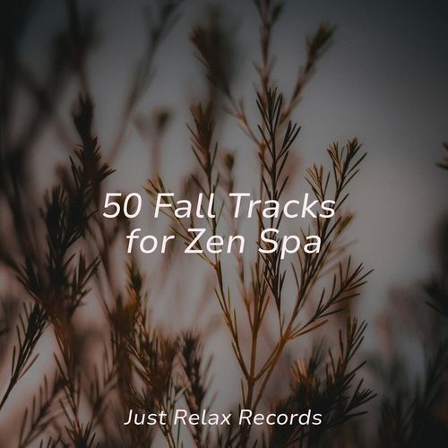 50 Fall Tracks for Zen Spa