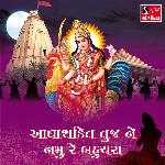 Adhyashakti Tuj Ne Namu Re Bahuchara