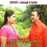 আরে পোলাই বিয়া