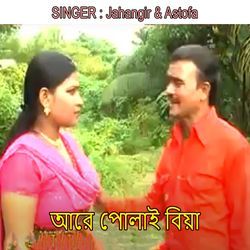 আরে পোলাই বিয়া