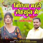 Bichhiya Marle Lehsun Me