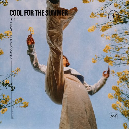 Cool for the Summer_poster_image