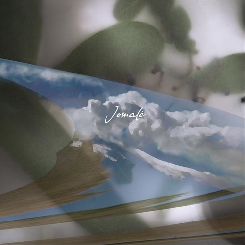 Framboises bleues cover art