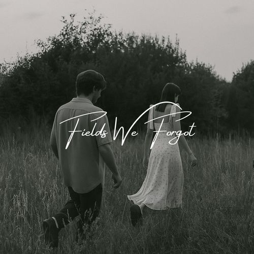Slow Meadow cover art