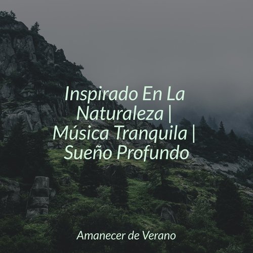 Luminiscencia de Medianoche cover art