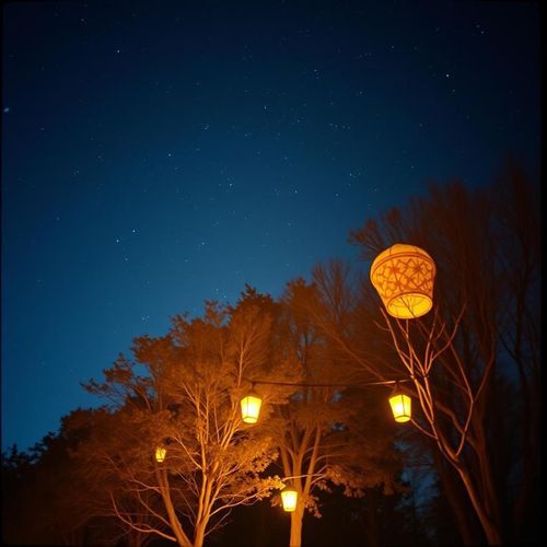 Reverberations in the Universe cover art