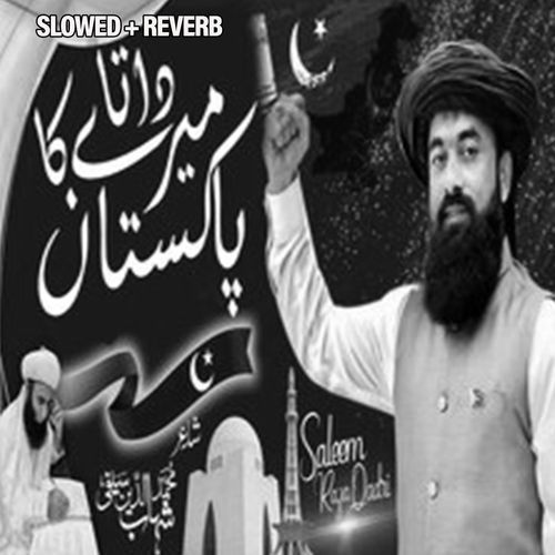 Mere Data ka Pakistan (Lofi-Mix)