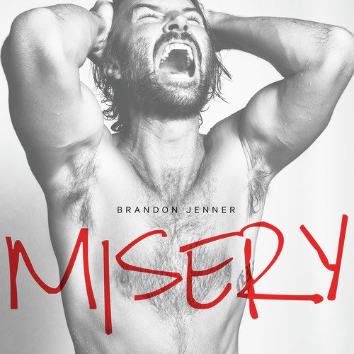 Misery_poster_image