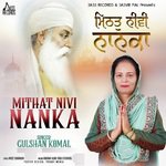 Mithat Nivi Nanka artwork