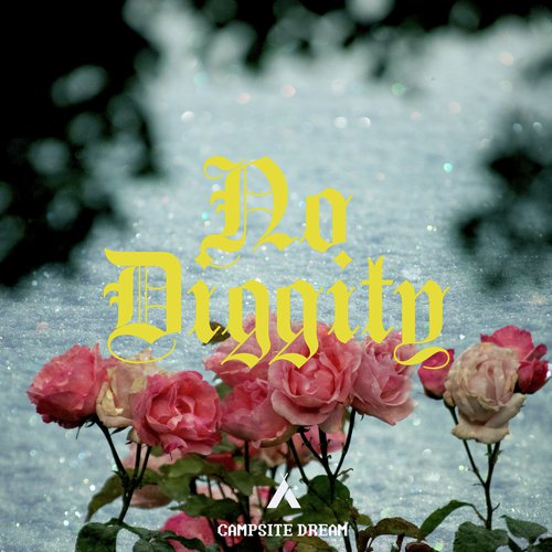 No Diggity_poster_image