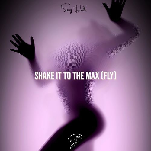 Shake It To The Max (FLY) (Sexy Drill) cover art