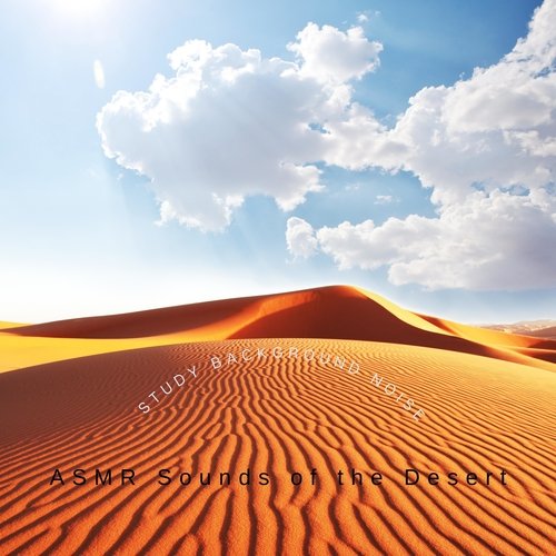 Study Background Noise cover art