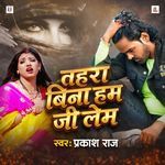 Tahra Bina Hum Ji Lem