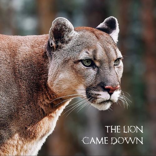 The Lion Came Down
