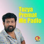 Tuzya Premat Me Padlo
