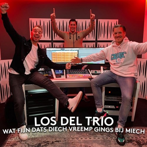 Wat Fijn Dats Diech Vreemp Gings Bij Miech cover art