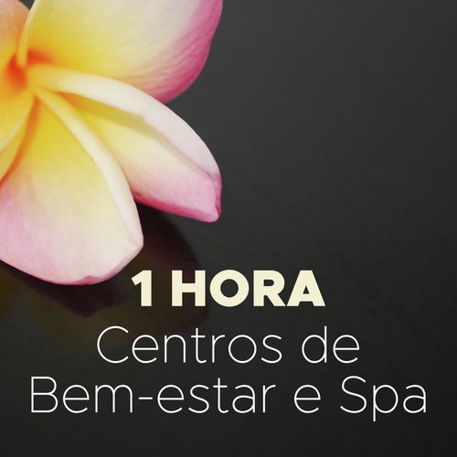 Pensamento Positivo cover art