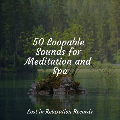 50 Loopable Sounds for Meditation and Spa_poster_image