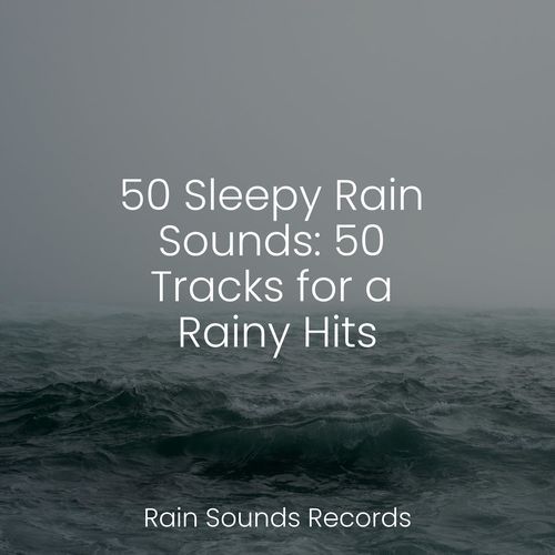 50 Sleepy Rain Sounds: 50 Tracks for a Rainy Hits