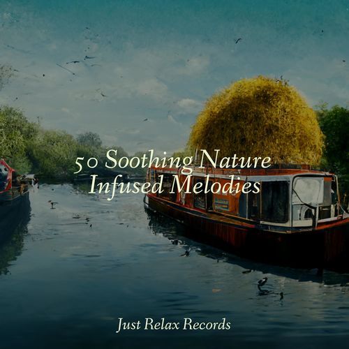 50 Soothing Nature Infused Melodies