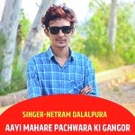 AAYI MAHARE PACHWARA KI GANGOR